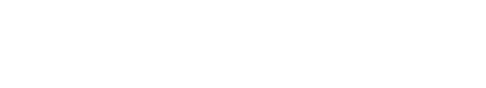 FSDT-Logo-white.png